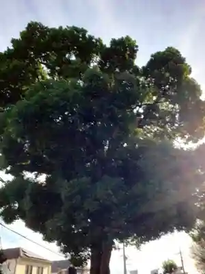 寿福寺(東京都)