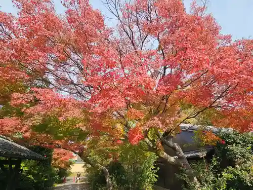 養源院(京都府)