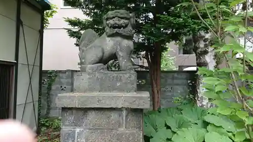 豊平神社の狛犬