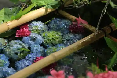 札幌護國神社の手水舎