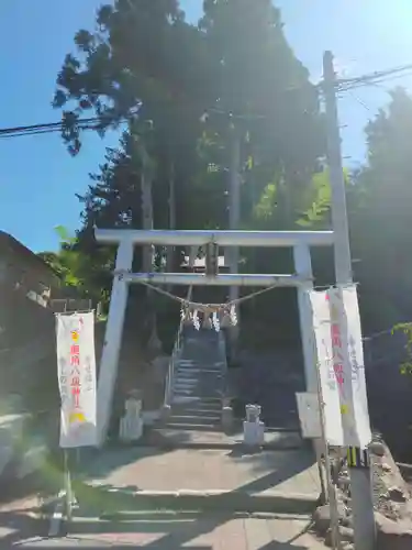 鹿角八坂神社の鳥居