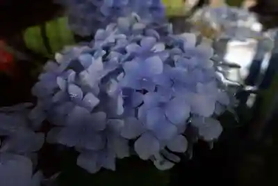 若宮神明社の手水舎