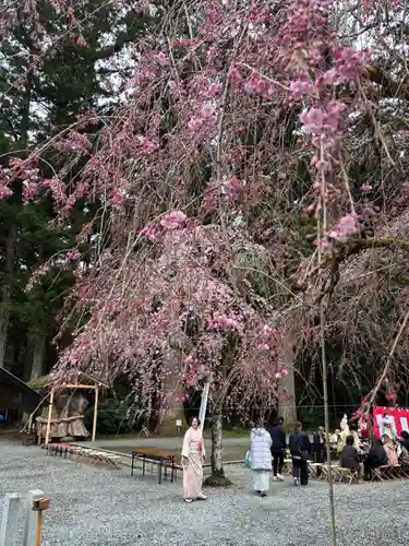 小國神社(静岡県)