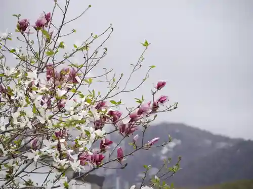 極楽山　浄土寺の景色