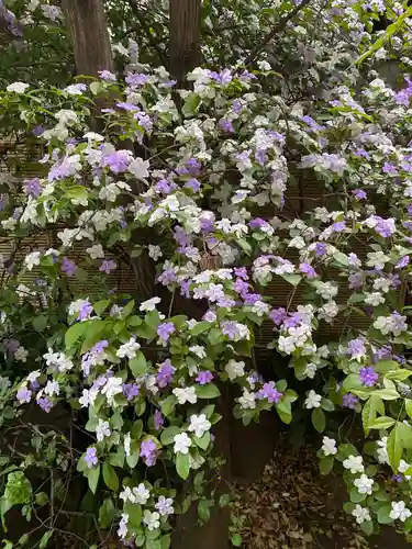 青山熊野神社(東京都)