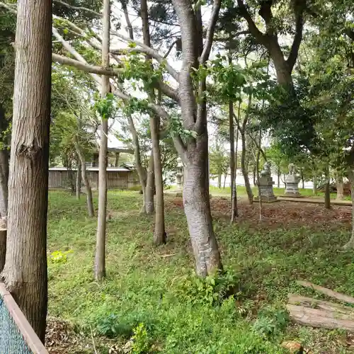 阿波神社の自然