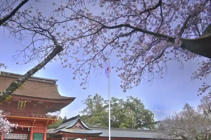 富士山本宮浅間大社(静岡県)
