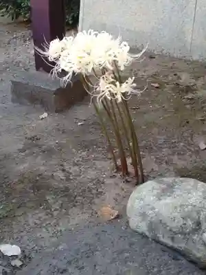 大楽院(神奈川県)