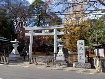 杵築大社(東京都)