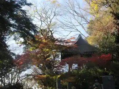 妙本寺の景色