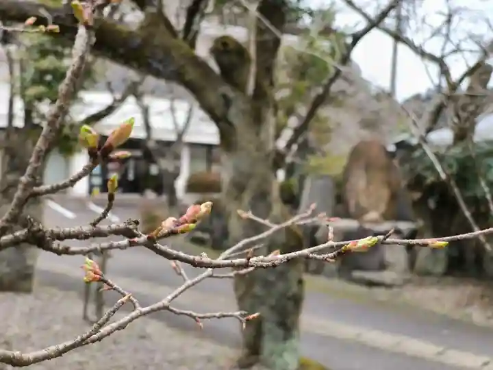 天鷹神社(岐阜県)