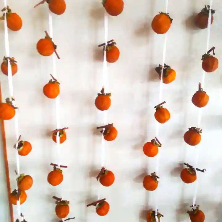 七重浜海津見神社(北海道)