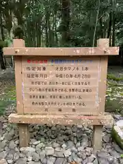 多田神社の自然