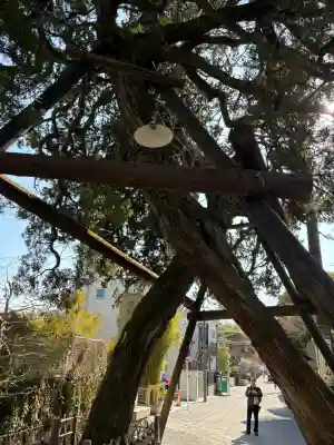 荏柄天神社(神奈川県)