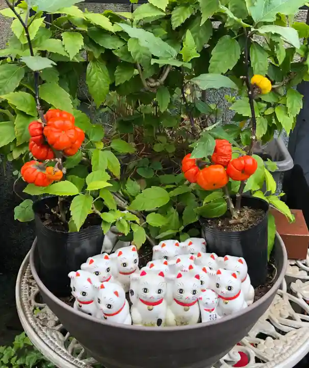 今戸神社の庭園