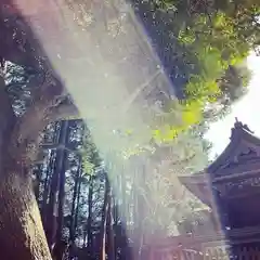 龍尾神社(静岡県)