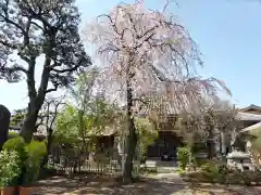 福泉寺(東京都)