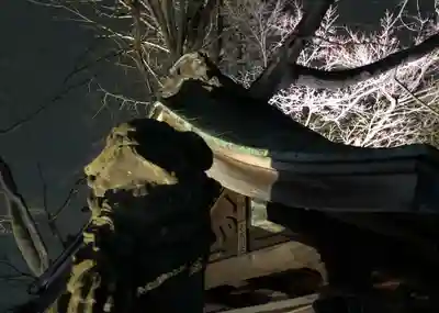 温泉神社〜いわき湯本温泉〜の狛犬