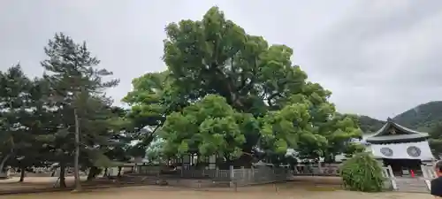 善通寺(香川県)