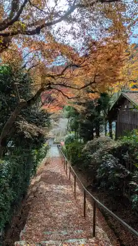 高倉天皇皇后　大原西陵(京都府)