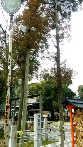 真清田神社の自然