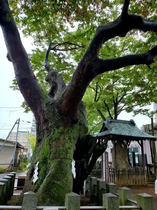 阿邪訶根神社の自然