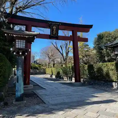 根津神社の鳥居