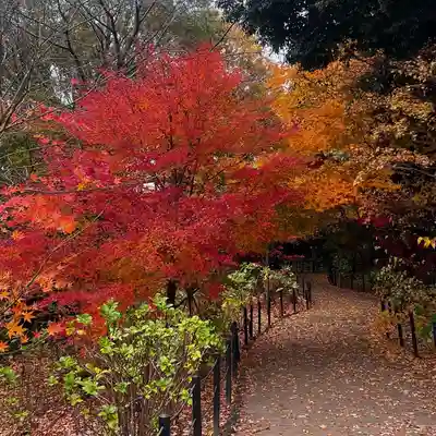 本土寺(千葉県)