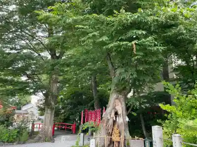 秩父今宮神社(埼玉県)