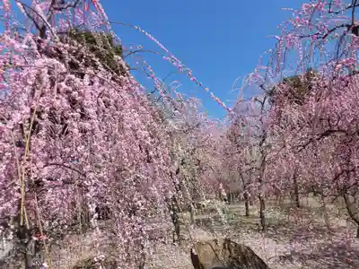 城南宮(京都府)