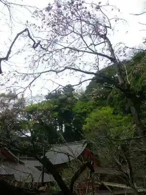 荏柄天神社のその他建物