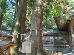 高千穂神社(宮崎県)