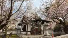 本満寺（本願満足寺）(京都府)