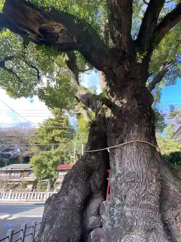 五所神社(神奈川県)
