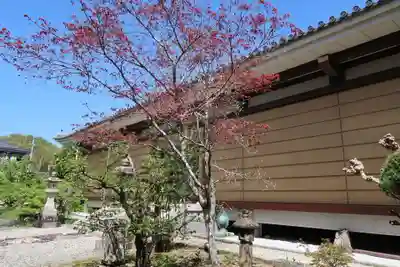 孝恩寺(大阪府)