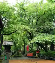 熊野神社の末社