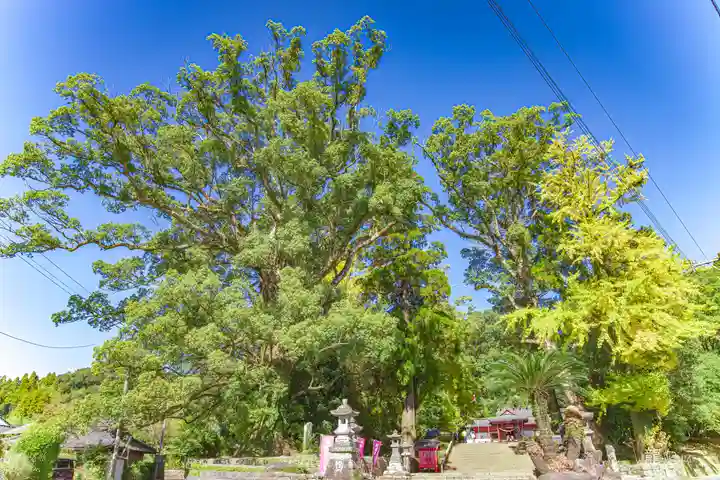 蒲生八幡神社(鹿児島県)