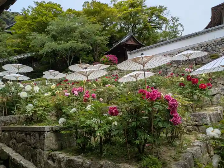長谷寺(奈良県)