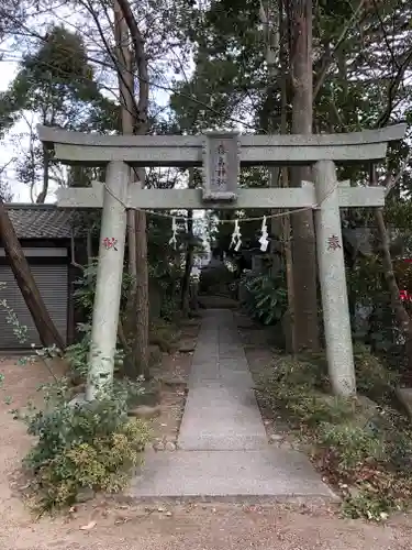 篠崎浅間神社の鳥居