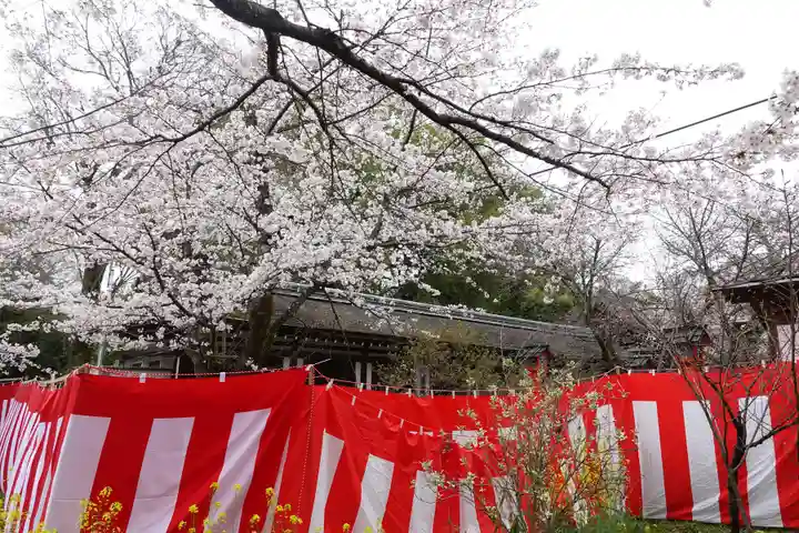 平野神社(京都府)