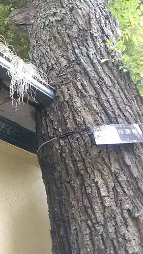 大森山王日枝神社(東京都)