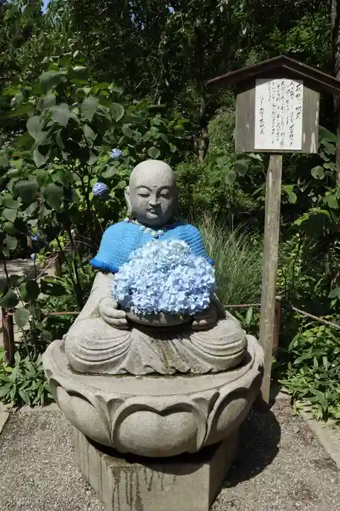 明月院(神奈川県)