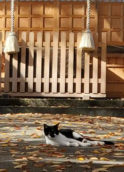 愛宕神社(福島県)