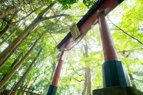 氷川女體神社(埼玉県)