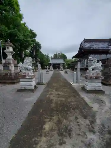 近津神社の狛犬