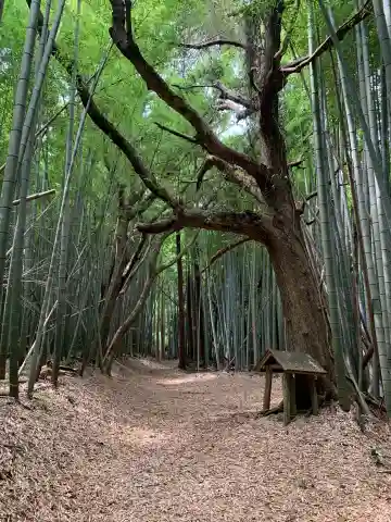 三社神社(千葉県)
