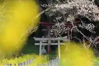 正一位稲荷神社の鳥居
