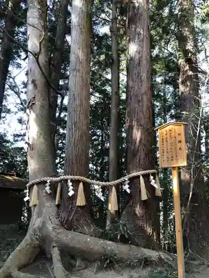 宇那禰神社(宮城県)