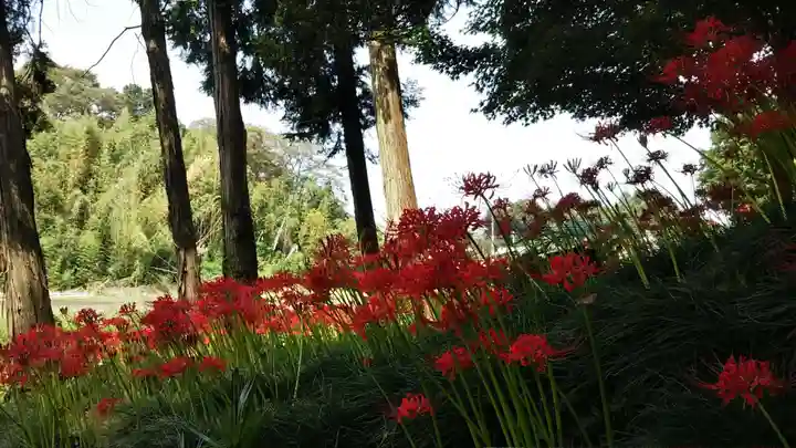 駒形神社(千葉県)