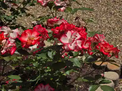 霊山寺(奈良県)